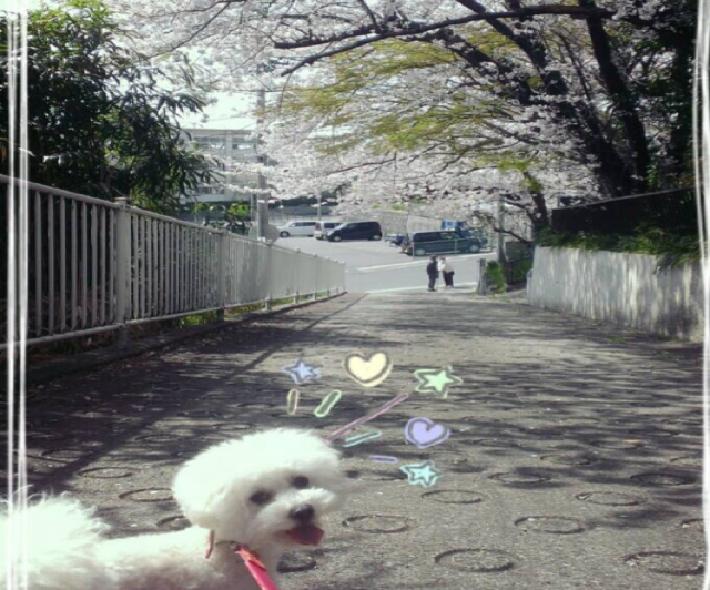 pic20140406091334_1.jpg
